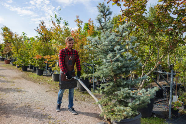 Best Residential Tree Removal  in Chester, SC